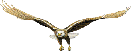 eagle.gif (10800 bytes)